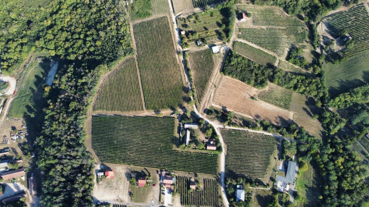 Lelle Vineyard Cottages バラトンレッレ エクステリア 写真