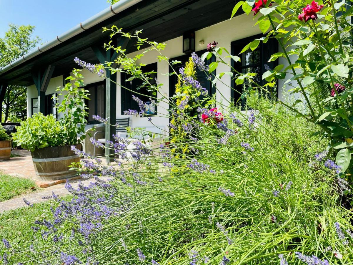 Lelle Vineyard Cottages バラトンレッレ エクステリア 写真